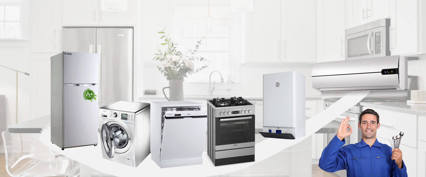 İspir Dominox Servisi